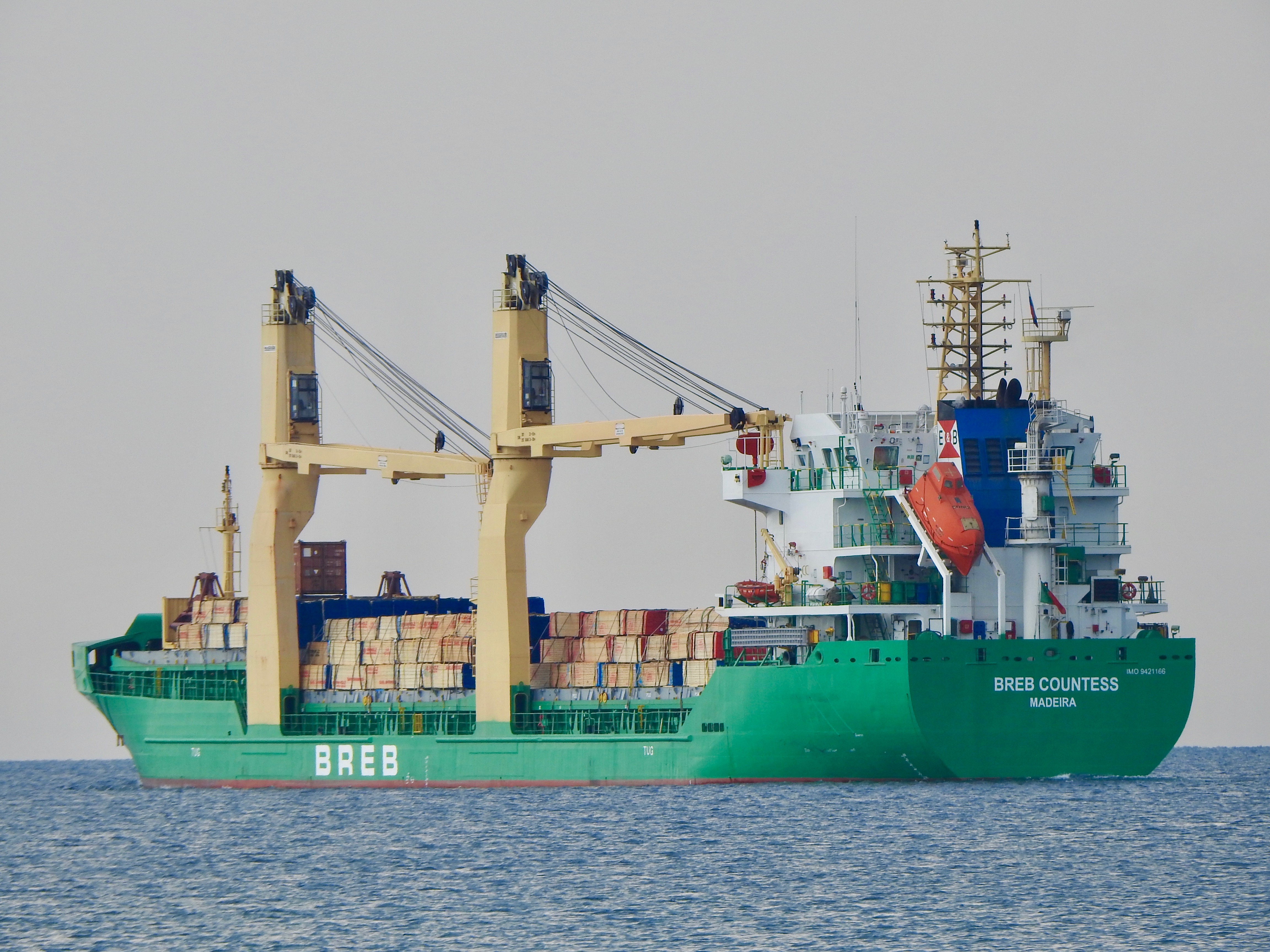 BREB COUNTESS - sawn timber Koper.jpeg